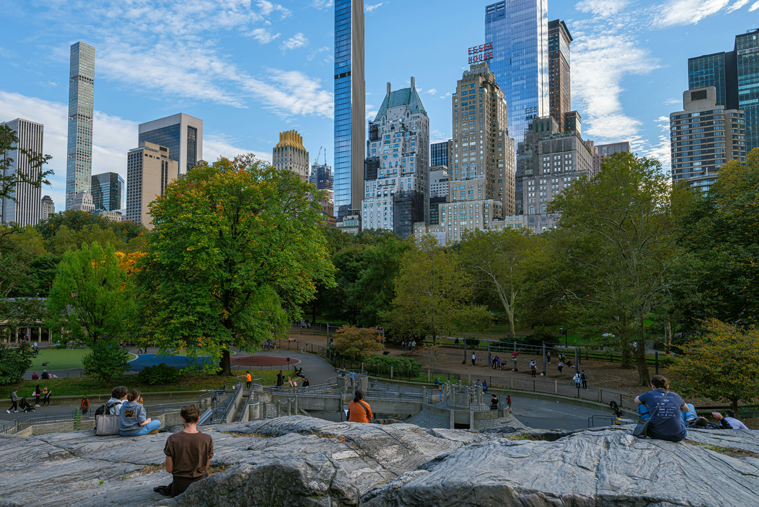 Park in the middle of a city